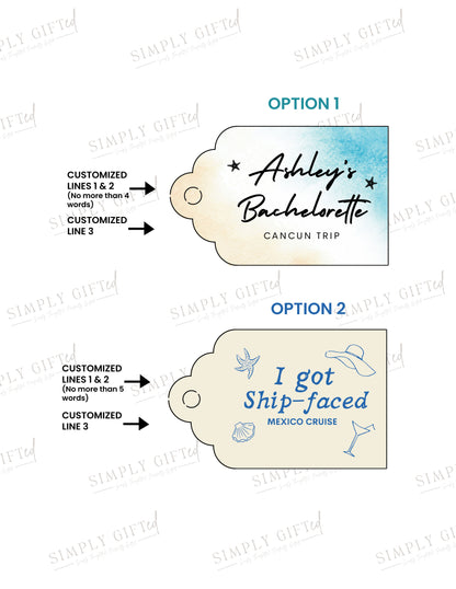Seashell Recovery Kit Bags
